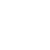 ico-leader